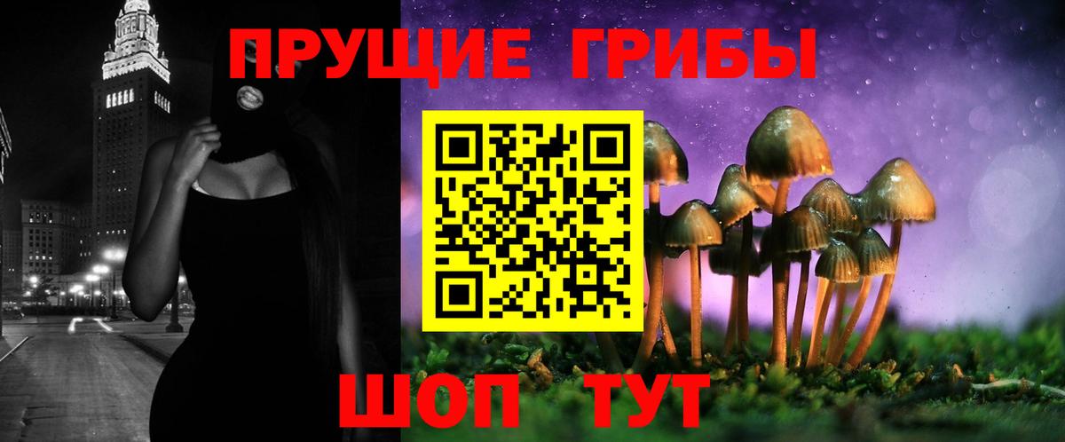 Псилоцибиновые грибы Psilocybine cubensis Ангарск